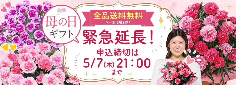 母の日特集