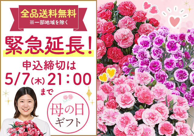 母の日特集
