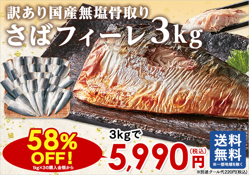 訳あり国産無塩骨取りさばフィーレ