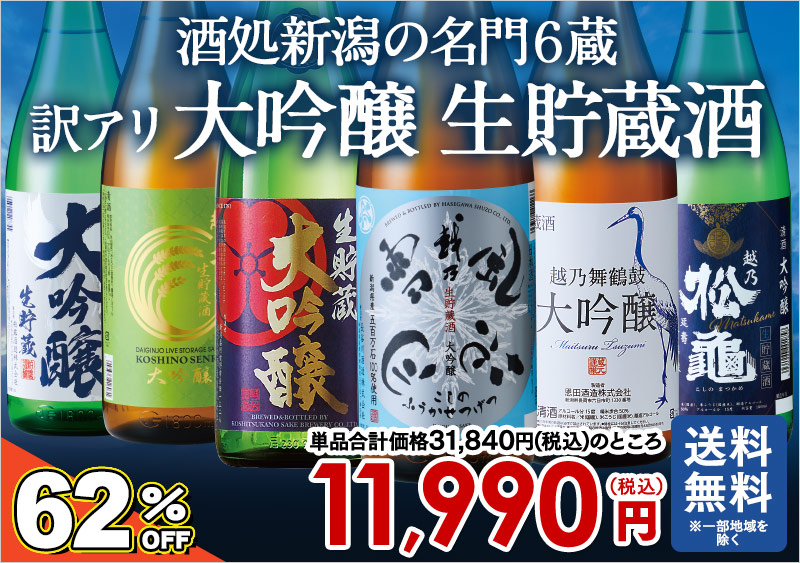 訳アリ越乃六蔵大吟醸生貯蔵一升瓶6本組＜第2弾＞