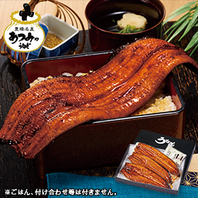 メガサイズ！愛知県三河産うなぎ蒲焼　１８０ｇ　３尾】