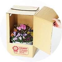 箱から出すだけ！