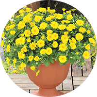 お悩みをサポート