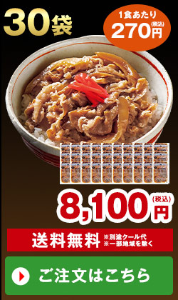 あり田冷凍牛丼の具30袋