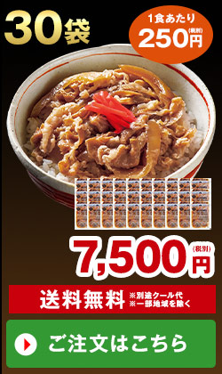 あり田冷凍牛丼の具30袋