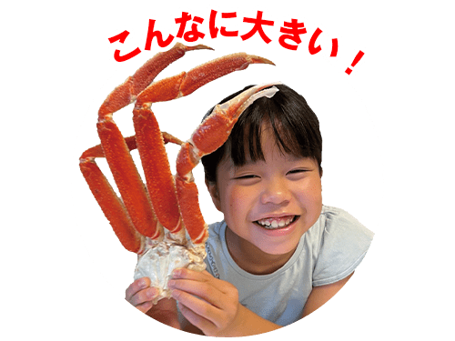 カニの通販 お取り寄せ特集 ベルーナグルメ