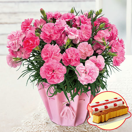 カーネーション　スイートジュエル＋長崎カステラセット