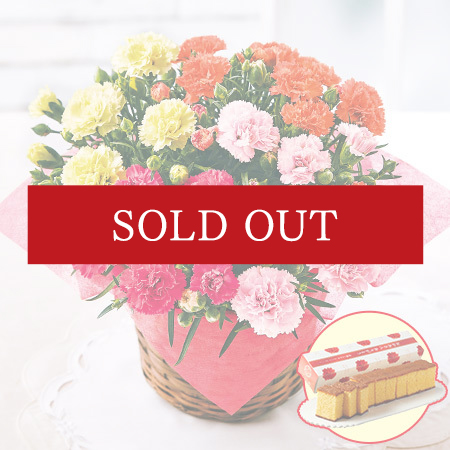 カーネーション　サキーネ４色ミックス「しあわせ」＋長崎カステラセット