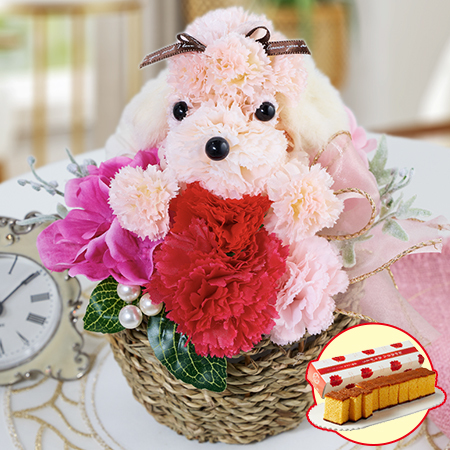 プードルバスケットアレンジ＋長崎カステラセット