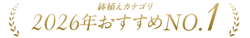 おすすめナンバー1！