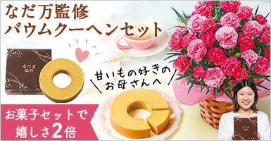 さくらもなか＋なだ万監修バウムクーヘンセット