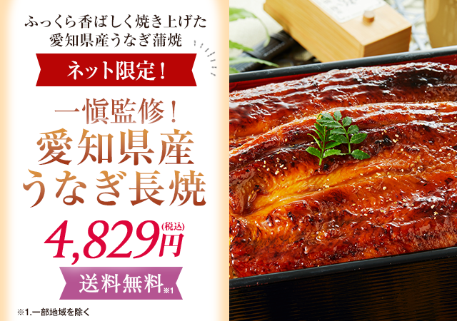 愛知県産うなぎ長焼き