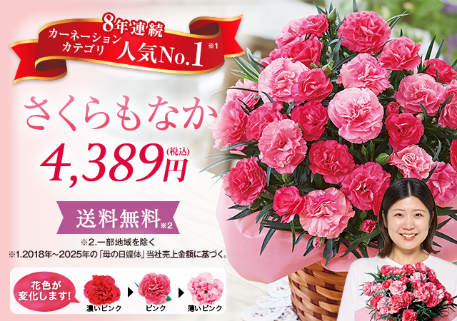カーネーション　さくらもなか