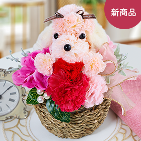 プードルバスケットアレンジ】