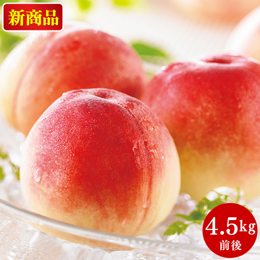 山形県産おいしいご家庭用桃4.5kg前後】