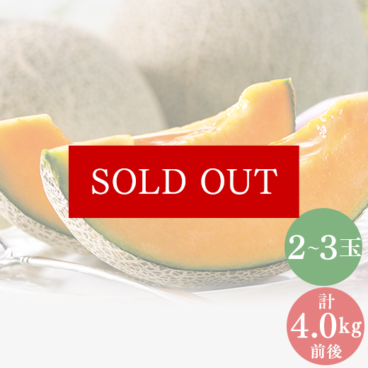 お買得!富良野メロン(2~3玉)計4kg前後】