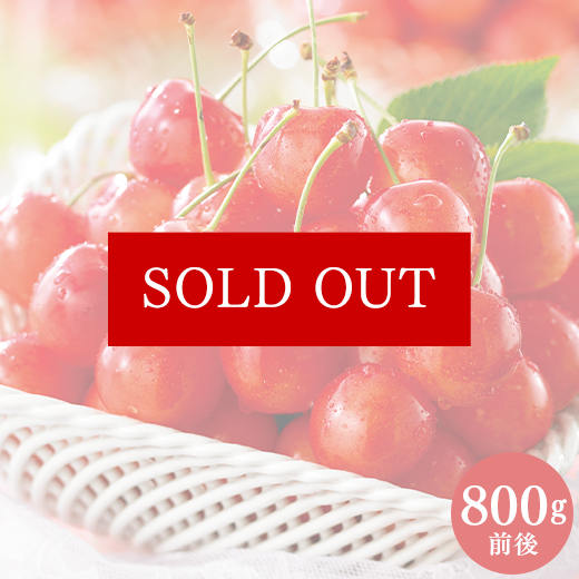 北海道のさくらんぼ 佐藤錦800g前後】