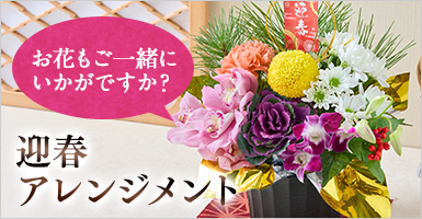 迎春アレンジメント―初夢―