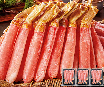 特大！生ズワイガニポーション　１．５ｋｇ