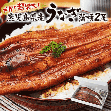 メガ!超特大!鹿児島県産うなぎ蒲焼き2尾