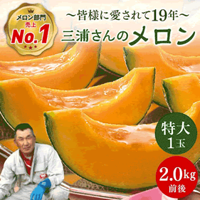 三浦さんのメロン(特大1玉)2kg