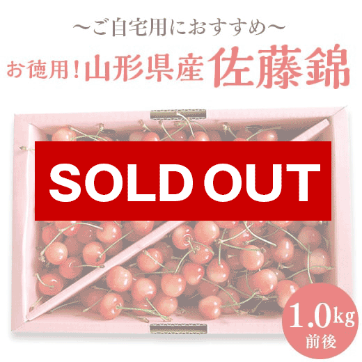 お徳用! 山形県産佐藤錦1kg