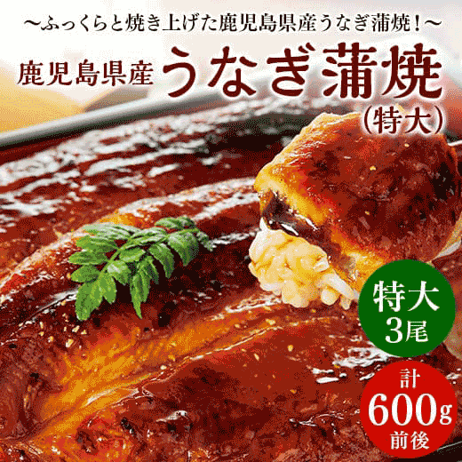 鹿児島県産うなぎ蒲焼(特大)3尾