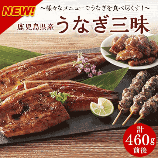 鹿児島県産うなぎ三昧セット