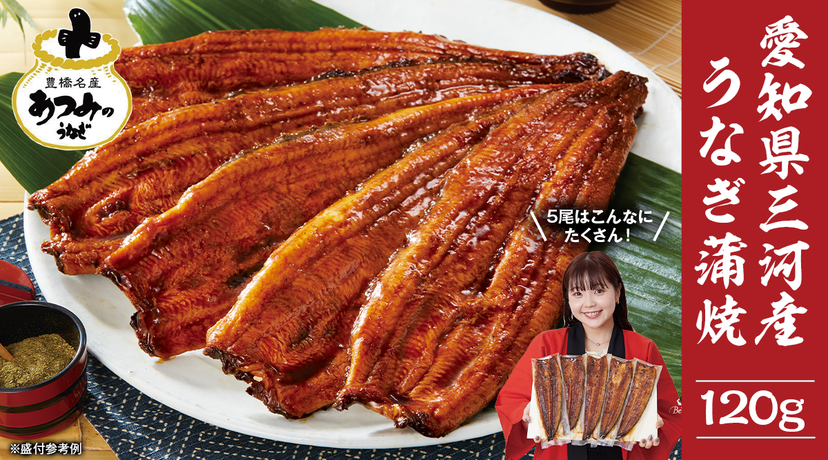 愛知県三河産うなぎ蒲焼 120g