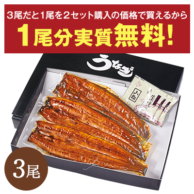 愛知県三河産うなぎ蒲焼 120g 3尾