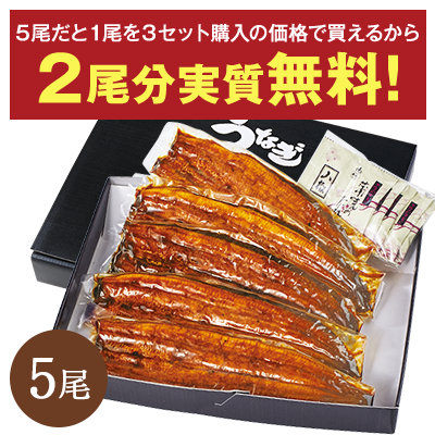 愛知県三河産うなぎ蒲焼 120g 5尾