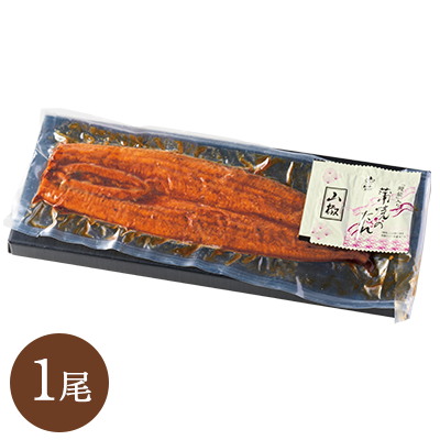 愛知県三河産うなぎ蒲焼180g1尾