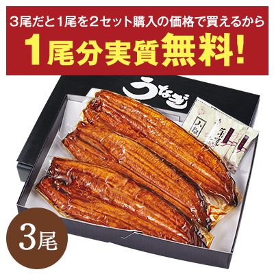 愛知県三河産うなぎ蒲焼180g3尾