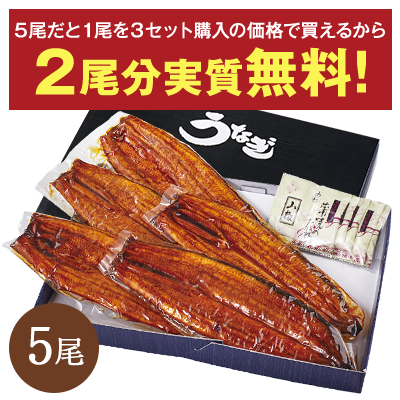 愛知県三河産うなぎ蒲焼180g5尾