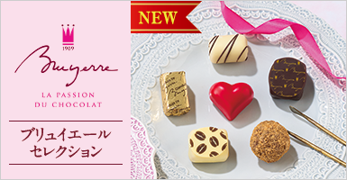 ブリュイエール　セレクション６個