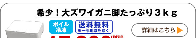 詳しくはこちら