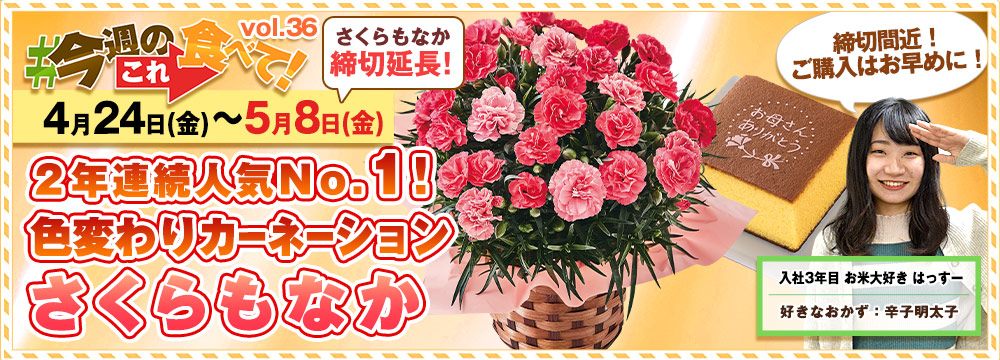 今週のこれ食べて！