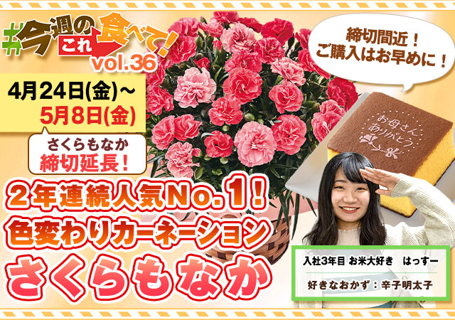 今週のこれ食べて！