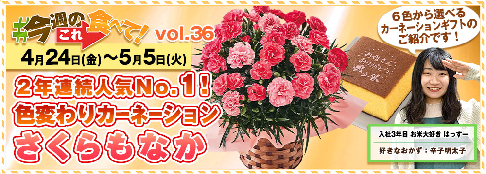 今週のこれ食べて！