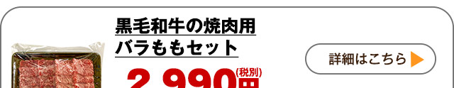 詳しくはこちら