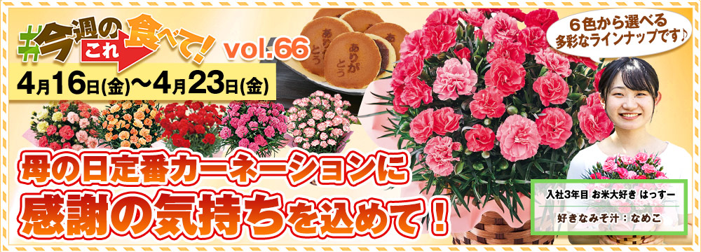 今週のこれ食べて！