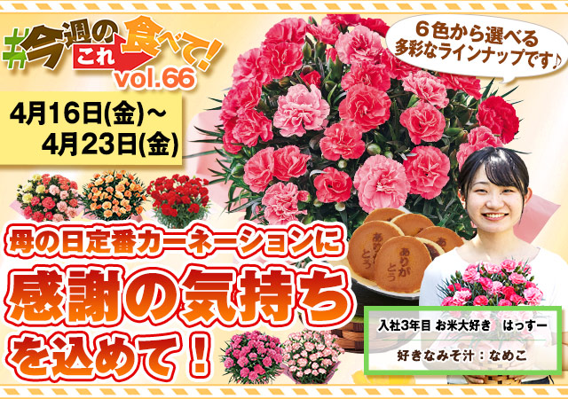 今週のこれ食べて！