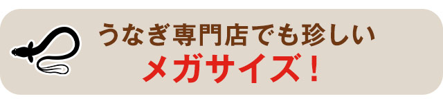 今週のこれ食べて！