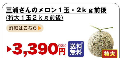 詳しくはこちら