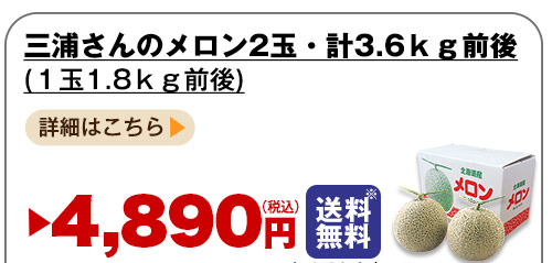 詳しくはこちら