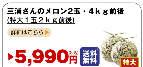 詳しくはこちら