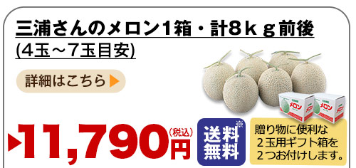 詳しくはこちら