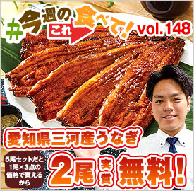 愛知県三河産うなぎ蒲焼