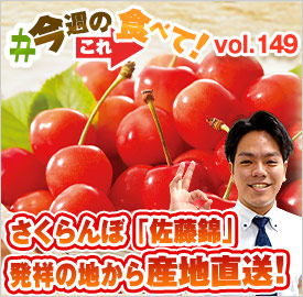 さくらんぼ職人の佐藤錦