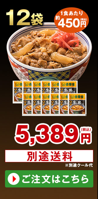 吉野家 牛丼の具 12袋